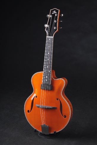 j55 mandolin